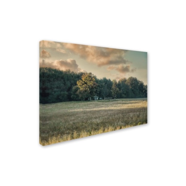 Jai Johnson 'The Old Farm At Sunrise' Canvas Art,18x24